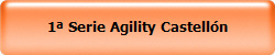 1 Serie Agility Castelln