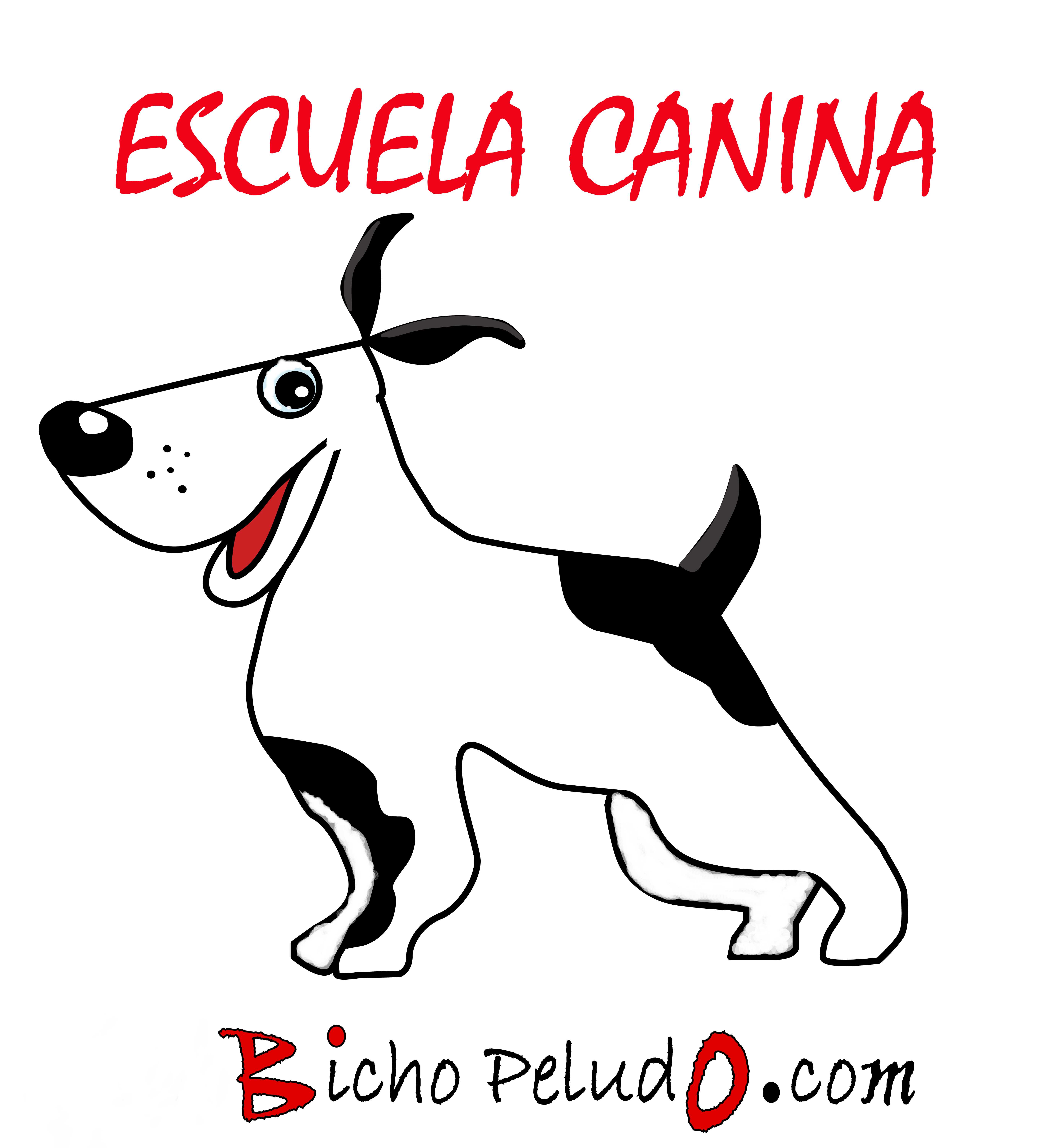 Bicho Peludo