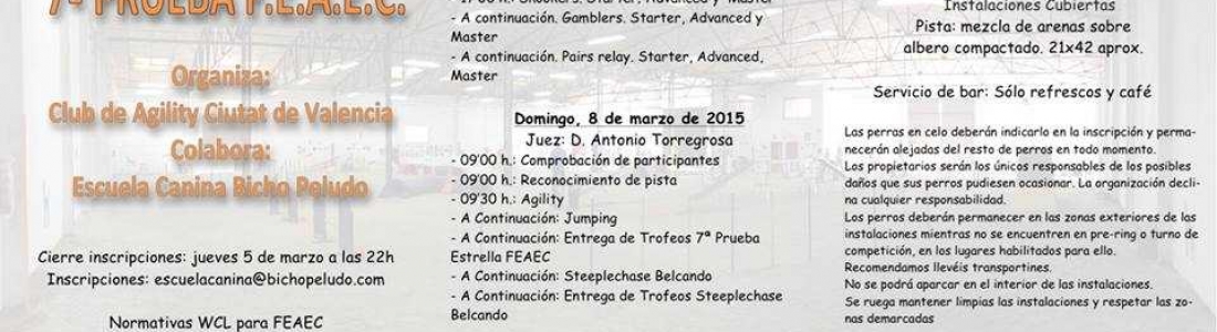 VII Prueba Estrella FEAEC, Agility Ciutat de Valencia