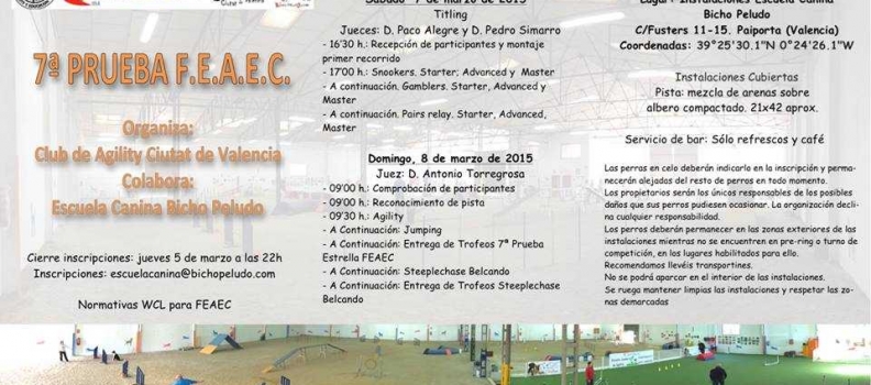 VII Prueba Estrella FEAEC, Agility Ciutat de Valencia